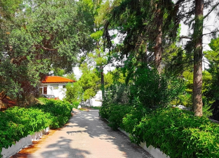 zobacz camping - zdjęcie 2