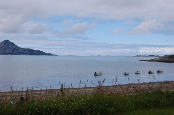 zobacz camping - zdjęcie 25