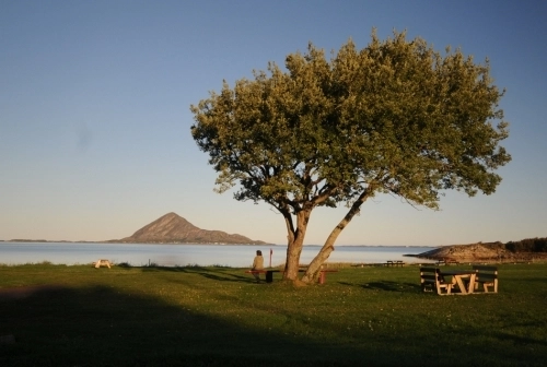 zobacz camping - zdjęcie 24