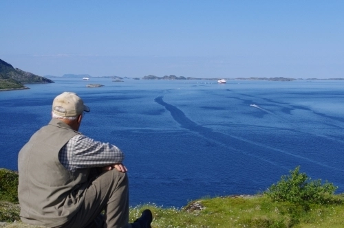 zobacz camping - zdjęcie 6