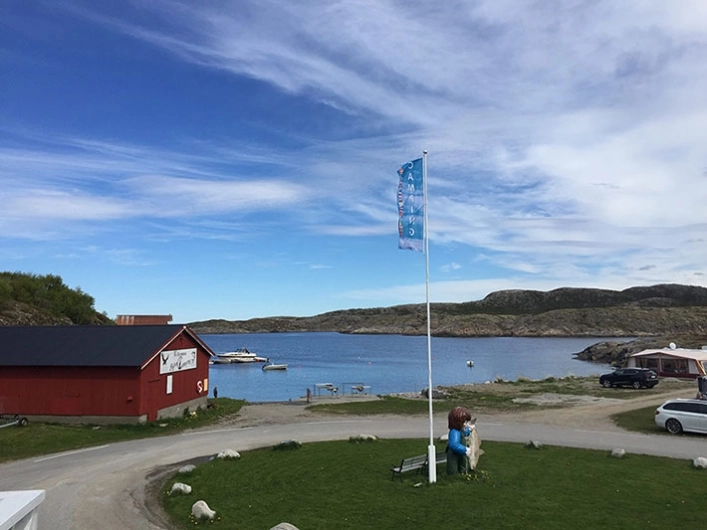 zobacz camping - zdjęcie 11