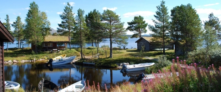 zobacz camping - zdjęcie 11