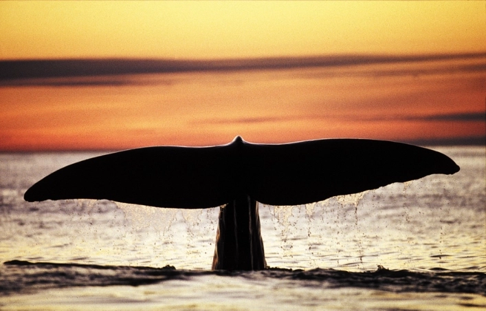 zobacz camping - zdjęcie 10