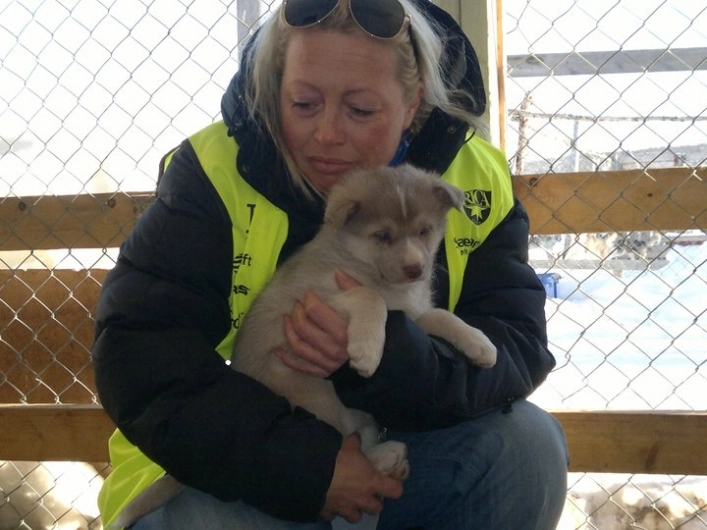 zobacz camping - zdjęcie 18