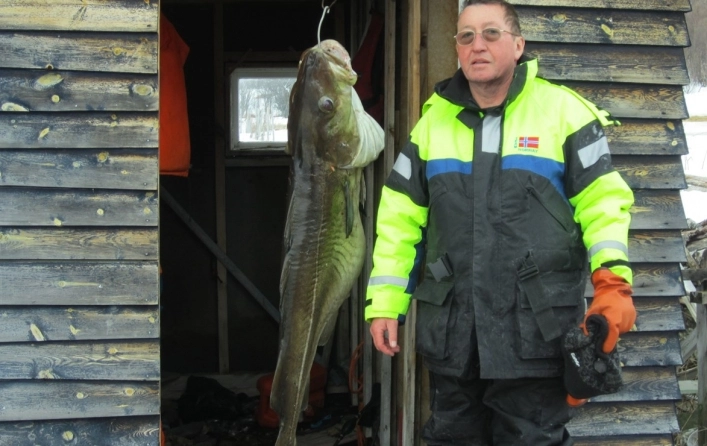 zobacz camping - zdjęcie 9