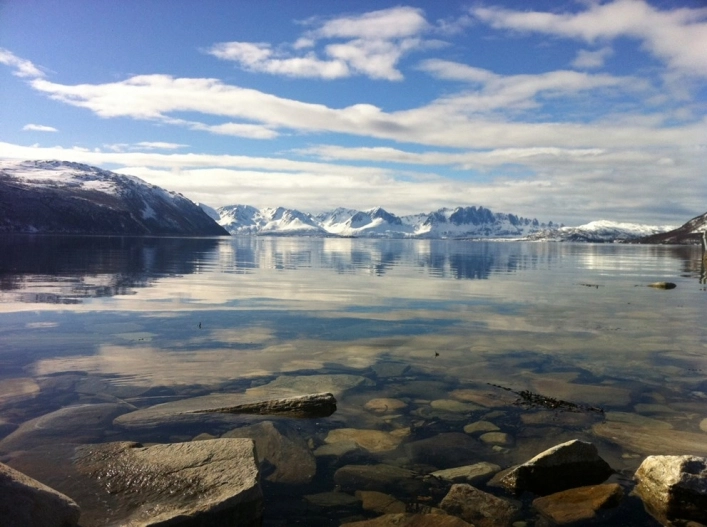 zobacz camping - zdjęcie 7