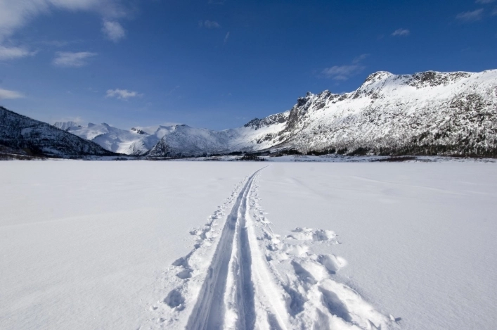 Arctic FjordCamp - zdjęcie 3