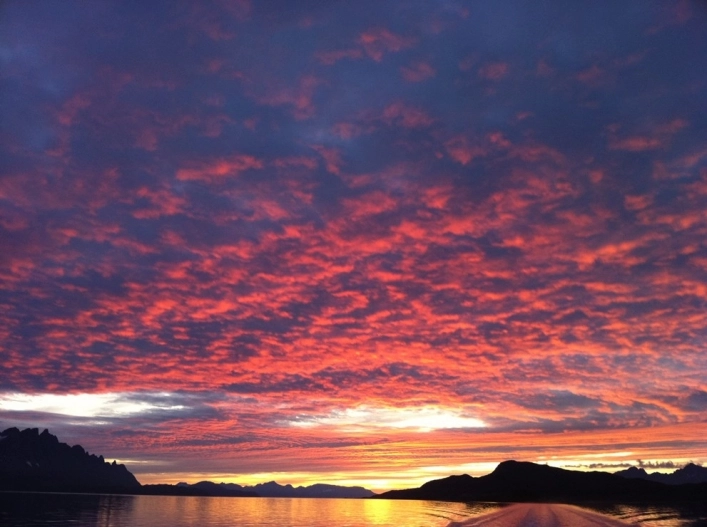 Arctic FjordCamp - zdjęcie 1