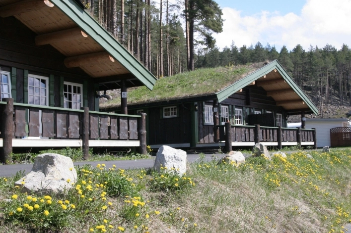 zobacz camping - zdjęcie 78