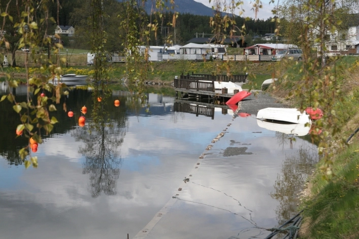 zobacz camping - zdjęcie 71