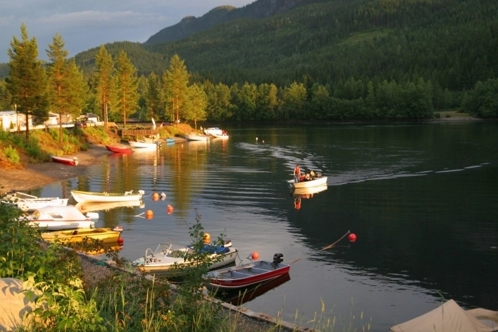 zobacz camping - zdjęcie 54