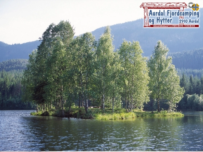 zobacz camping - zdjęcie 36