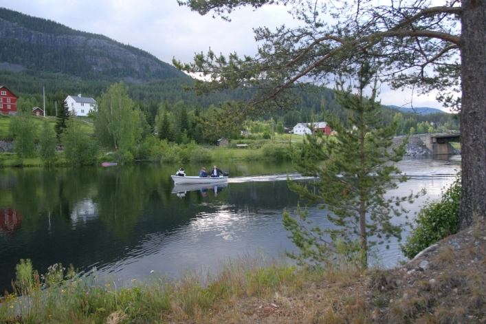 zobacz camping - zdjęcie 7