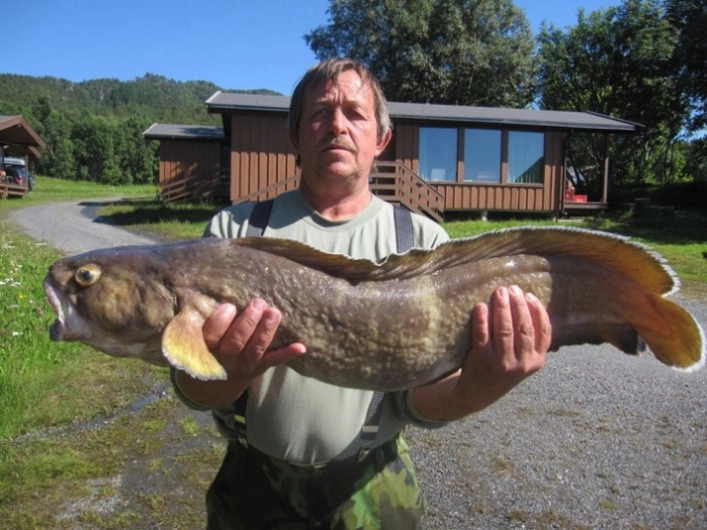 zobacz camping - zdjęcie 17