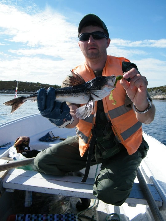 zobacz camping - zdjęcie 14