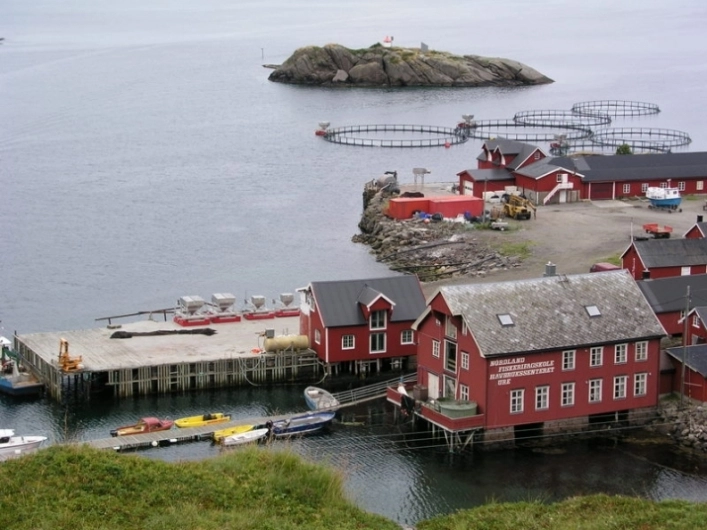 zobacz camping - zdjęcie 11