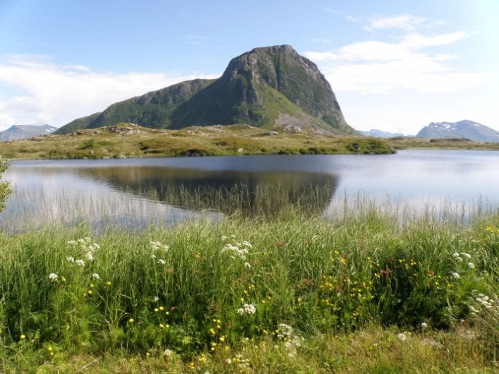 zobacz camping - zdjęcie 9