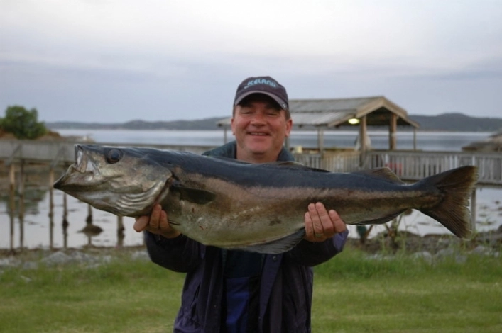 zobacz camping - zdjęcie 5