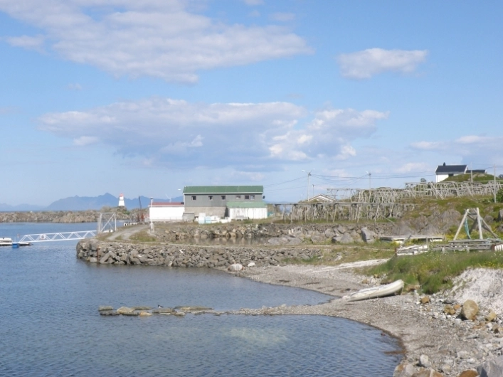 zobacz camping - zdjęcie 4