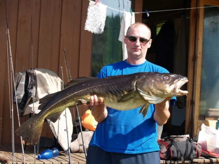 zobacz camping - zdjęcie 3