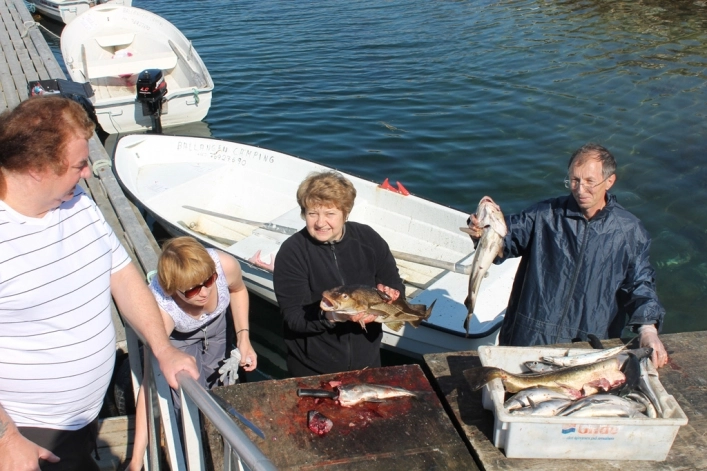 zobacz camping - zdjęcie 7