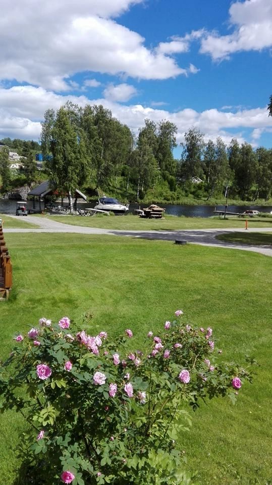 Barnas Camping - Teksten - zdjęcie 4