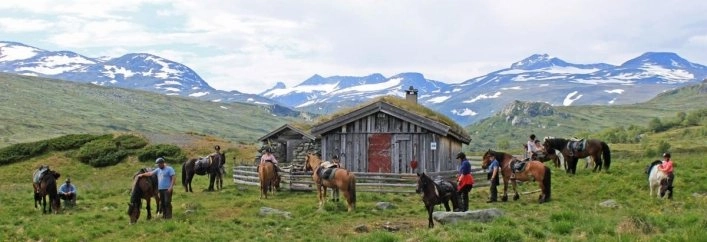 zobacz camping - zdjęcie 8