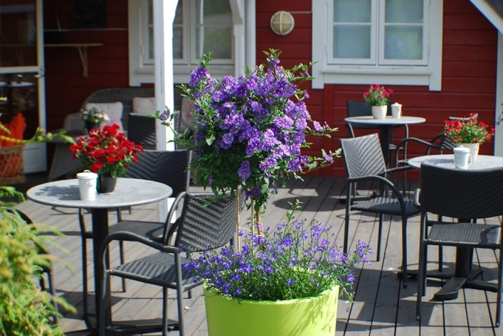 zobacz camping - zdjęcie 9