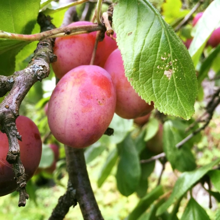 zobacz camping - zdjęcie 2