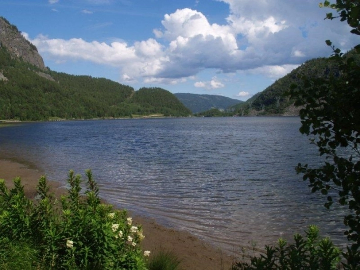 zobacz camping - zdjęcie 18