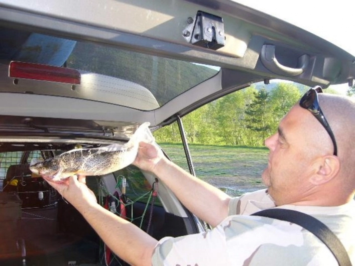 zobacz camping - zdjęcie 10