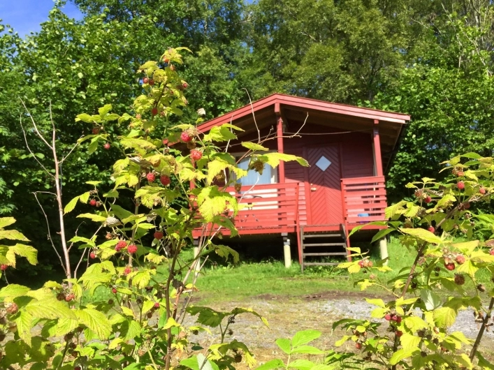 Bjølstad Camping - zdjęcie 1