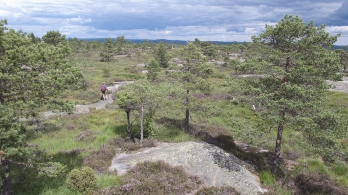 Bjonndalen Camp - zdjęcie 2