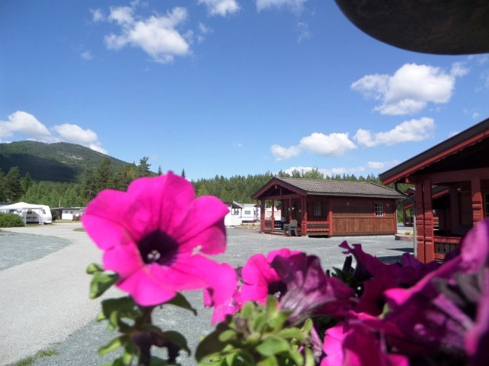 zobacz camping - zdjęcie 10