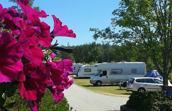 zobacz camping - zdjęcie 5