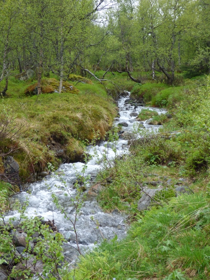 zobacz camping - zdjęcie 29