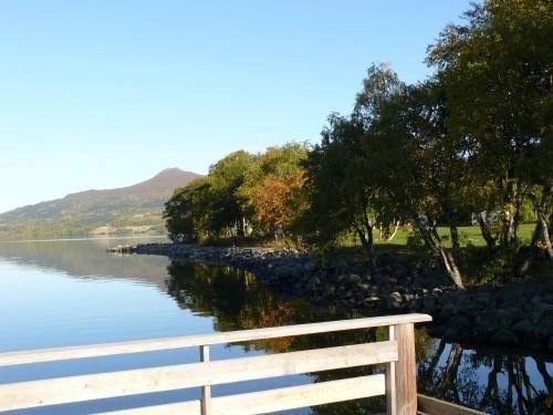 zobacz camping - zdjęcie 26