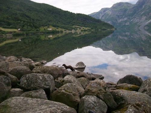 zobacz camping - zdjęcie 19