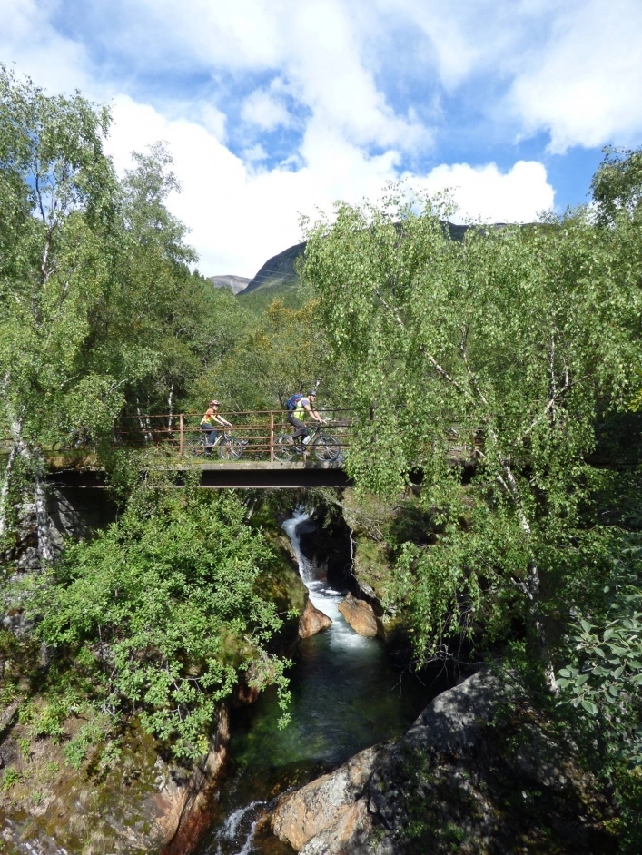 zobacz camping - zdjęcie 18