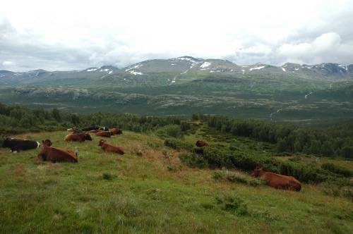 zobacz camping - zdjęcie 17