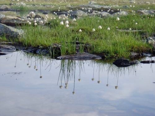 zobacz camping - zdjęcie 12