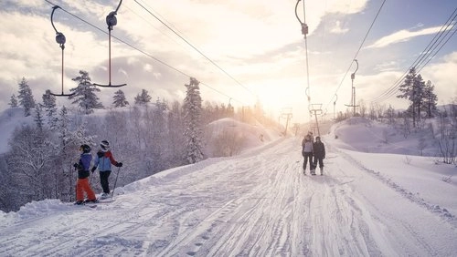 zobacz camping - zdjęcie 7