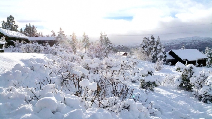Bortelid Camping - zdjęcie 1
