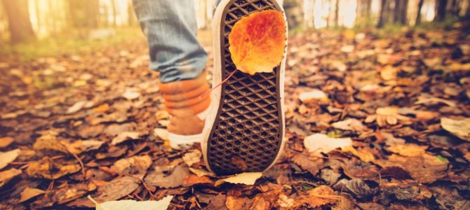 Bøygen Camping - zdjęcie 3