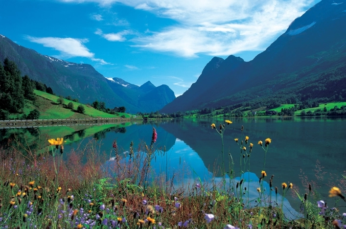 zobacz camping - zdjęcie 15