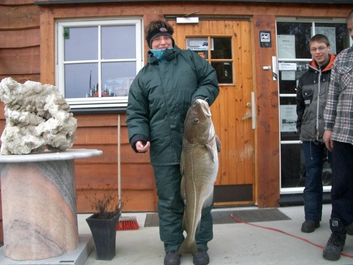 zobacz camping - zdjęcie 12