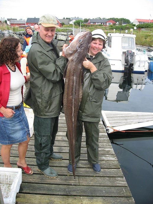 zobacz camping - zdjęcie 11