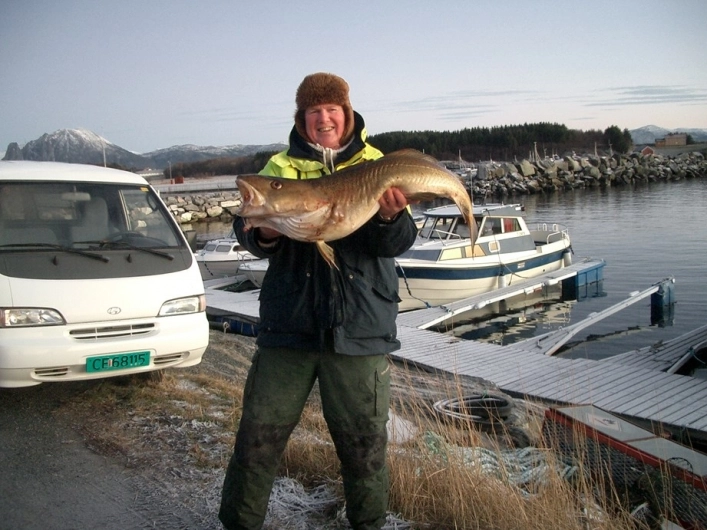 zobacz camping - zdjęcie 7