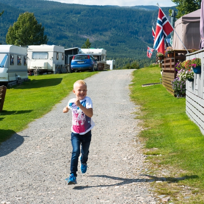 zobacz camping - zdjęcie 11