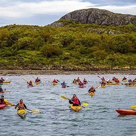 zobacz camping - zdjęcie 8